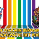 Metode Maxwin Bermain Slot Pragmatic Bet 800